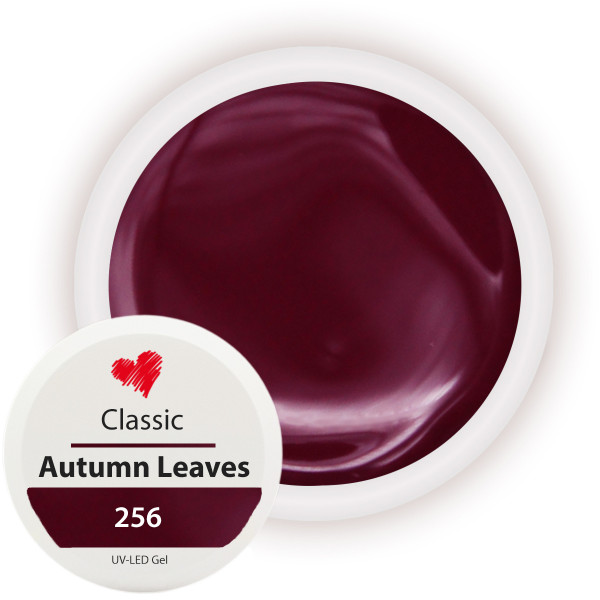 Classic Farbgel autumn leaves