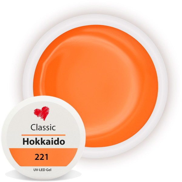 hokkaido orange Farbgel Classic Nagelmodellage